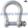 GAL BOW D SHACKLE 20MM PIN