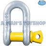 DEE SHACKLE 10MM 3/8" RATED 1000KG