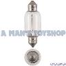 BULB 24 VOLT 21W FESTOON