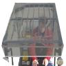 NLA* FORKLIFT SOLAR CAP SEE THROUGH 1340