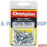 ANTI THEFT NUMBER PLATE SCREW PACK 30PC