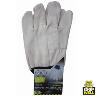 GLOVE COTTON ECONOMY 2 PAIR ONE SIZE FIT