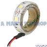 LED TAPE COOL WHITE 12V 300MM HIGH OUTPT